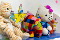 Bilder-Galerie Stiftchen